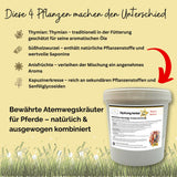 EquiLung Herbal RespiraBalance – Kräutermischung für Pferde in Phasen physiologisch vermehrter Schleimbildung oder bei beanspruchten Atemwegen