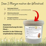 EquiLung Herbal Sensitiv – Kräutermischung für Pferde zur Unterstützung der Atemwege bei hoher Belastung durch Staub, Pollen & Umweltreize