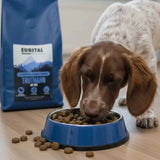 Eurital Basic Choice – Single-Protein-Trockenfutter für sensible Verdauung mit 27 % Truthahn & Reis