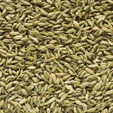 Fenchel Pferd 1kg
