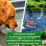Aqua-Cereal® FrühlingsStart -Teichmineralien