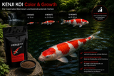 KENJI KOI Color & Growth 5kg