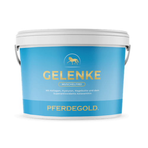 Gelenke Muschelfrei 2.0