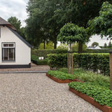 Cortenstahl Rasenkante Eck Außen – Umgelegter Oberrand, Wetterfest, 5 Höhen