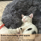 Hundebett 