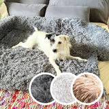 Hundebett 