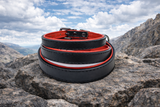 Tierluxe Klassiker - Premium Leder Hundehalsband
