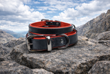 Tierluxe Klassiker - Premium Leder Hundehalsband