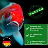 KENKOU® -Selektion- INTENS  Farbfutter-MIX 10 Liter