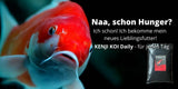 KENJI KOI Daily Koi Food - Für die ganze Saison