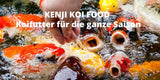 KENJI KOI Daily Koi Food - Für die ganze Saison