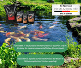KENJI KOI Baby Koi Food 3 - 1KG