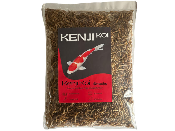 KENJI KOI Snack Mehlwürmer - Proteinreicher Natursnack 46% für Wachstum