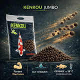 Koifutter KENKOU® JUMBO schwimmend