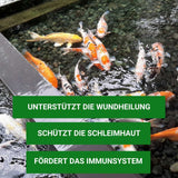 Koi-Humin Konzentrat