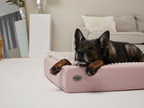 Hundebett KUDDE Pastell Kunstleder