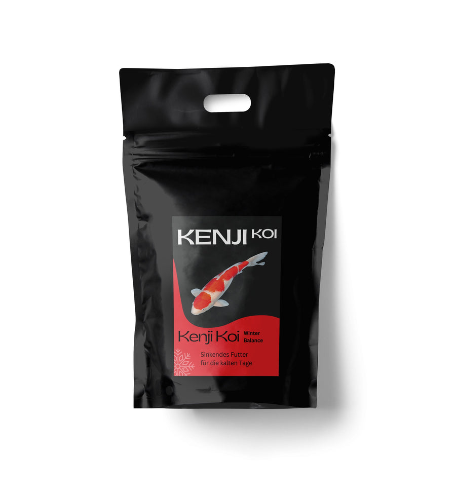 KENJI KOI Winter Balance - sinkend
