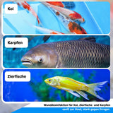 AnoKath® Koi antiBac – Wundspray für Koi & Teichfische