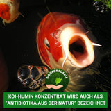 Koi-Humin Konzentrat