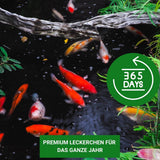 KENKOU® KOI - Pralines für die Fütterung aus der Hand