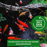 KENKOU Allround Koifutter 6 mm - schwimmend