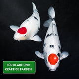 Koifutter 3mm  BAKUDAI - schwimmend von KENKOU®