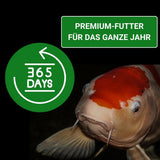 KENKOU® Vita-Immun Mix Koifutter 3 mm - schwimmend