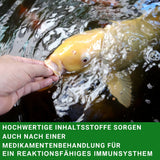 KENKOU® Vita-Immun Mix Koifutter 6 mm - schwimmend