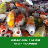 KENKOU Allround Koifutter 6 mm - schwimmend