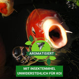 Koifutter KENKOU® Mix your Food 15kg schwimmend