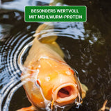 KENKOU® Nr.1 VITAL -  5mm Koifutter schwimmend