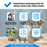 AnoKath® Liquid – Säure-Basen-Haushalt beim Hund unterstützen