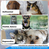 AnoKath® Liquid – Säure-Basen-Haushalt beim Hund unterstützen