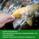 Insektus® Mehlwürmer getrocknet im Vorratsbehälter 5L.