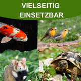 Insektus® Mehr Sorten Mix im Vorratsbehälter 2,5L.