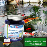 Milchsäurebakterien Pulver Konzentrat 1000 ml für ein bakterielles Gleichgewicht im Teich