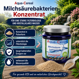 Milchsäurebakterien Pulver Konzentrat 1000 ml für ein bakterielles Gleichgewicht im Teich
