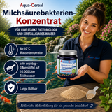 Milchsäurebakterien Pulver Konzentrat 1000 ml für ein bakterielles Gleichgewicht im Teich