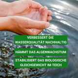 Milchsäurebakterien Pulver Konzentrat 1000 ml für ein bakterielles Gleichgewicht im Teich