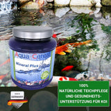 Klares Teichwasser ohne Chemie mit Mineral-Plus 1kg -