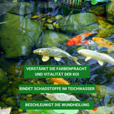 Klares Teichwasser ohne Chemie mit Mineral-Plus 1kg -