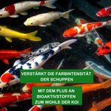 Klares Teichwasser ohne Chemie mit Mineral-Plus 1kg -