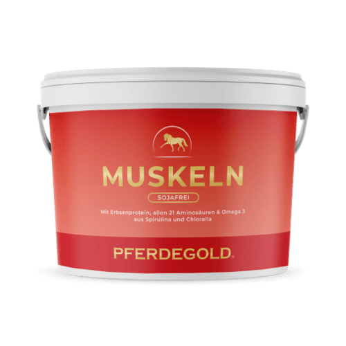 Muskeln 2.0 Sojafrei