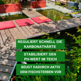 Wasserwerte Stabilisator - Aqua-Cereal® NATUR-POND 3 in 1
