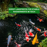 Wasserwerte Stabilisator - Aqua-Cereal® NATUR-POND 3 in 1