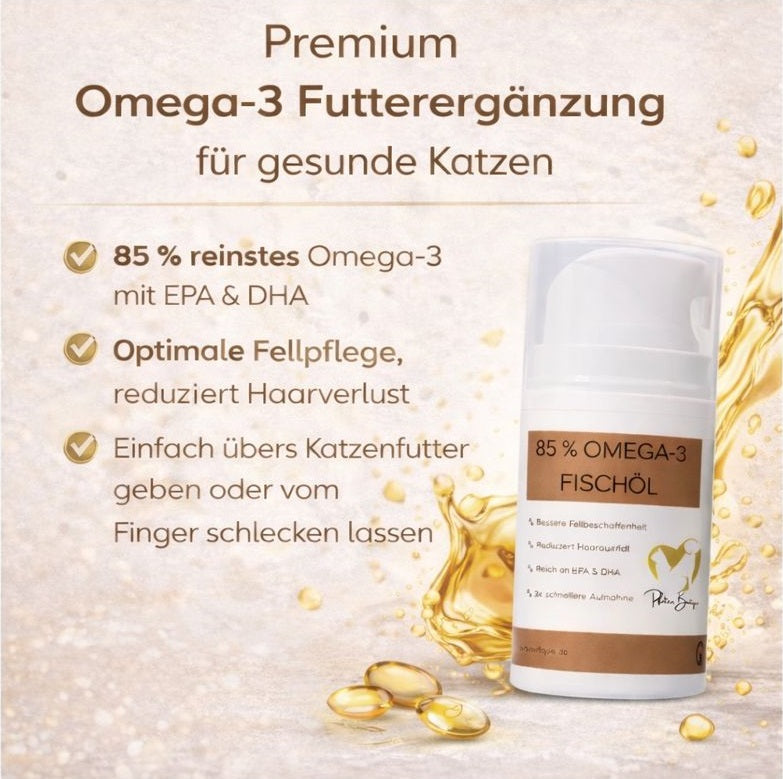 Angebote