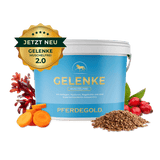 Gelenke Muschelfrei 2.0