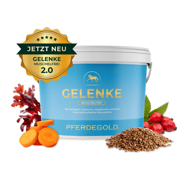 Gelenke Muschelfrei 2.0