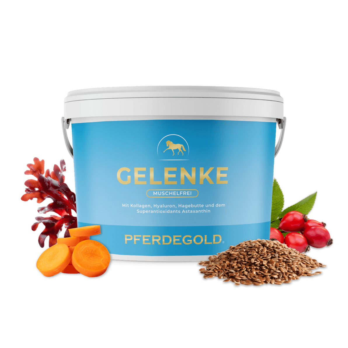 Gelenke Muschelfrei 2.0
