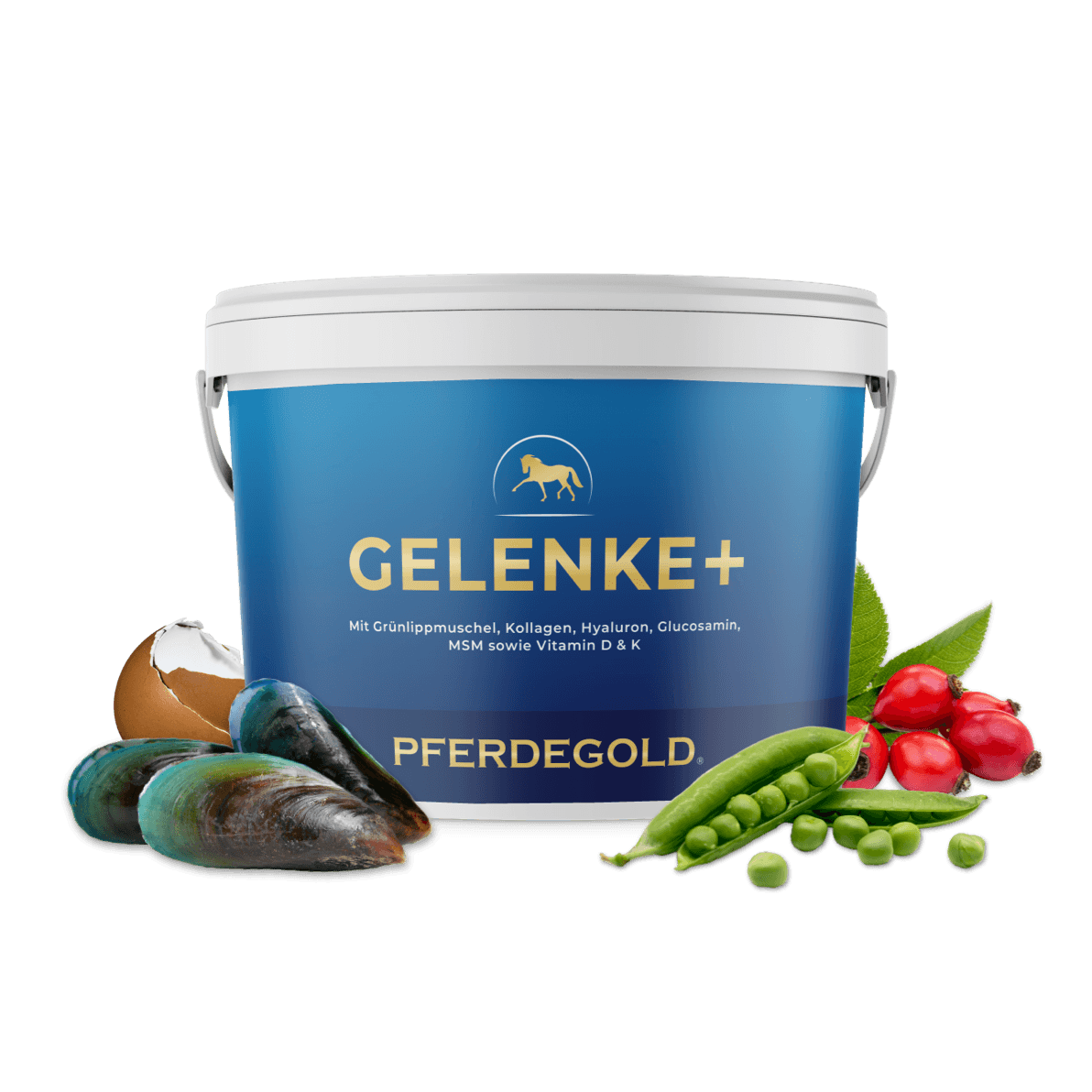 Gelenke+